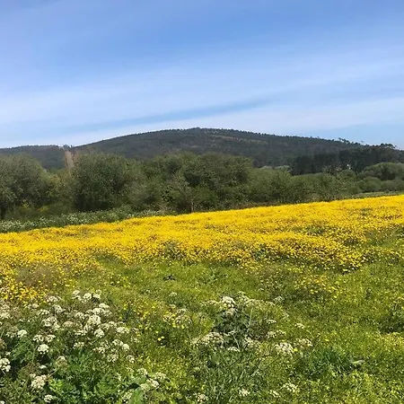 1ª Linea De Playa Rodeado De Naturaleza *