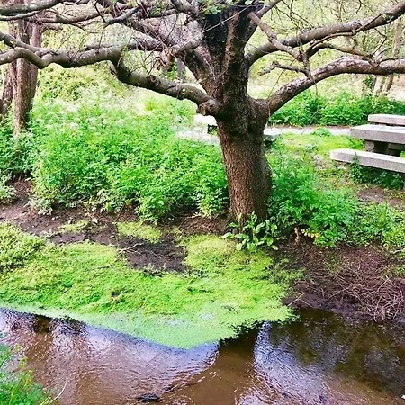 1ª Linea De Playa Rodeado De Naturaleza Apartman