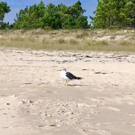 1ª Linea De Playa Rodeado De Naturaleza Διαμέρισμα *
